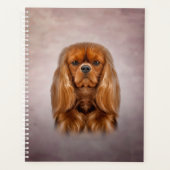 Dessin Chien Cavalier King Charles Spaniel (Devant)