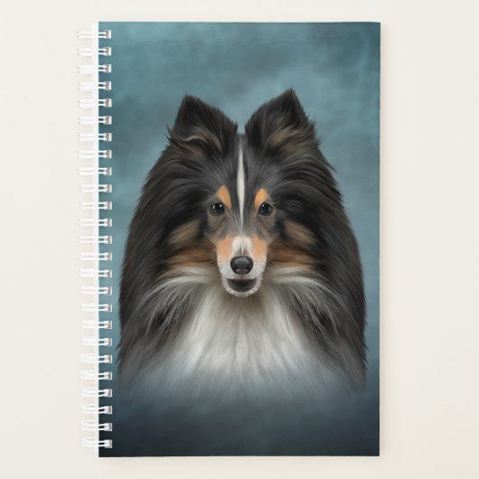 Dessin Chien Shetland Sheepdog, Shelter (Devant)