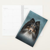 Dessin Chien Shetland Sheepdog, Shelter (Devant avec enveloppe)