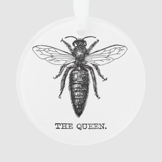 Dessin classique de l'illustration de Queen Bee (dos)