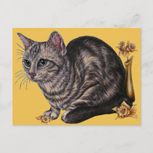 Dessin de chat avec Daffodiles sur carte postale