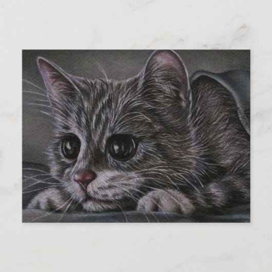 Dessin de chaton sur carte postale (Devant)