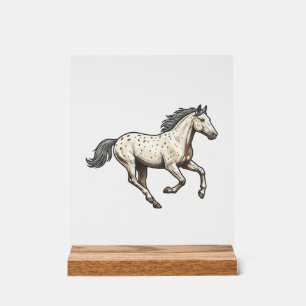 Dessin de cheval Appaloosa courant gravé vintage_1