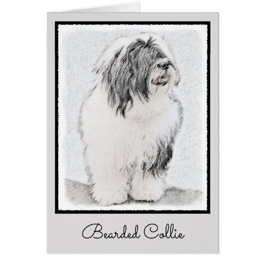Dessin de collie à oreilles - Joli art original de (Devant)