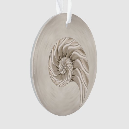 Dessin de coquille Nautilus (devant)