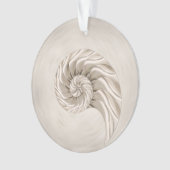 Dessin de coquille Nautilus (devant)