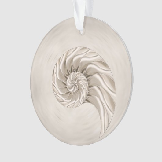 Dessin de coquille Nautilus (devant)