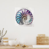 Dessin de coquille Nautilus - Impression d'art (Cuisine)