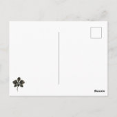 Dessin de ligne orchidée - Carte postale botanique (Dos)