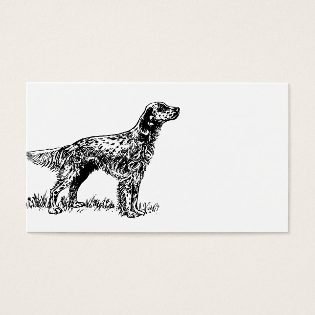 dessin de setter anglais.png (Devant)