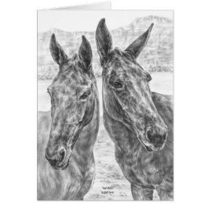 Dessin de Two Mules par Kelli Swan