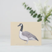 Dessin d'oie debout sur les cartes postales de sab (Debout devant)