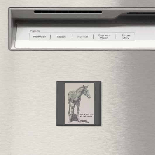 Dessin d'un colt nommé "Peaches" sur un aimant (In Situ (Lave-vaisselle))