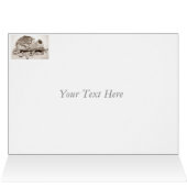 Dessin humoristique de la vie morte (Intérieur Horizontal (haut))