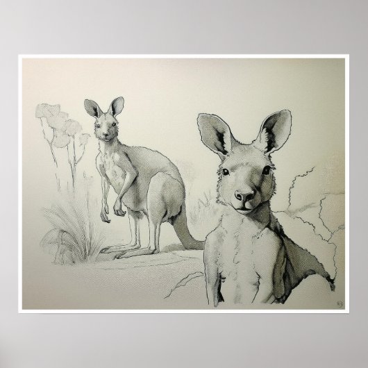 Dessin Kangaroos - Impression d'art (Devant)