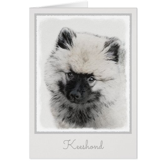 Dessin Keeshond Chiot - Joli dessin original Chien (Devant)