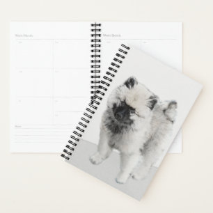 Dessin Keeshond Chiot - Joli dessin original Chien