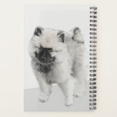 Dessin Keeshond Chiot - Joli dessin original Chien (Dos)