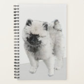 Dessin Keeshond Chiot - Joli dessin original Chien (Devant)