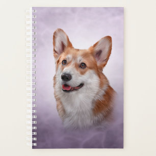 Dessin race de chien Corgi gallois