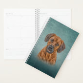 Dessin Rhodesian Ridgeback (Devant avec enveloppe)