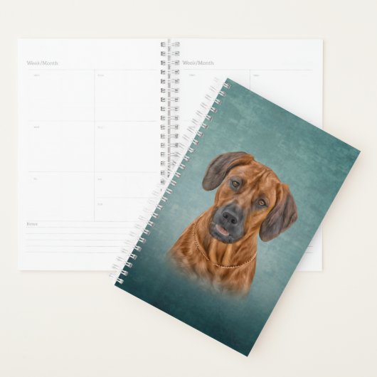 Dessin Rhodesian Ridgeback (Devant avec enveloppe)