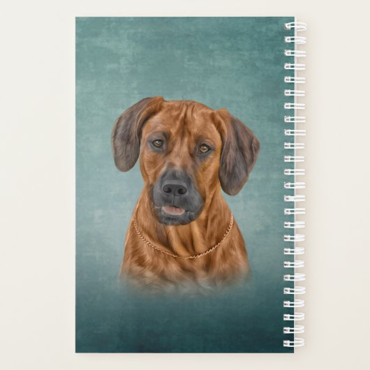 Dessin Rhodesian Ridgeback (Dos)