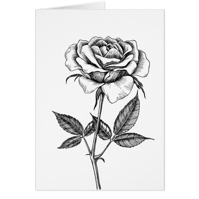 dessin rose (Devant)