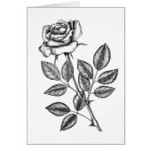 dessin rose 2 (Devant)