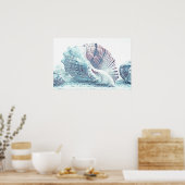 Dessin simple à la main de coquillages | Poster (Cuisine)