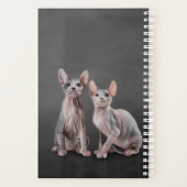 Dessin Sphynx chaton (Dos)