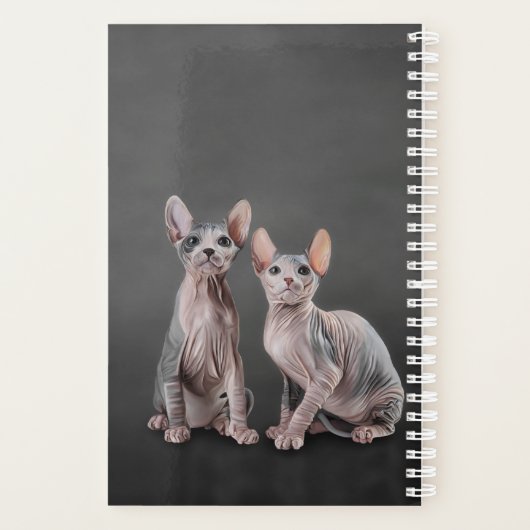 Dessin Sphynx chaton (Dos)