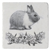 Fluffez le lapin. Carton noir monochrome