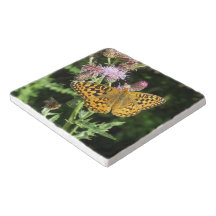 Pothère de Trivet de pierre| Photo de papillon ora