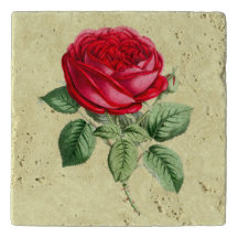 Rose Rouge Antique 