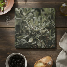 Rustic Olive Branch Mediterranean Italy