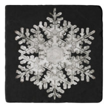 'Stellar Snowflake n° 586' de Wilson Bentley