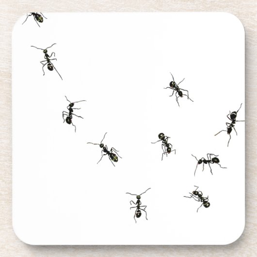Dessous-de-verre 10 fourmis (Devant)