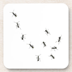 Dessous-de-verre 10 fourmis fourmis