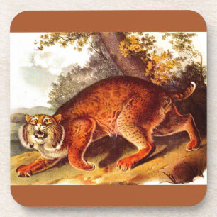 Dessous-de-verre 19th century bobcat print