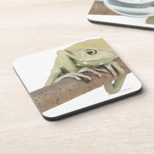 DESSOUS-DE-VERRE 23568119 (Côté gauche)