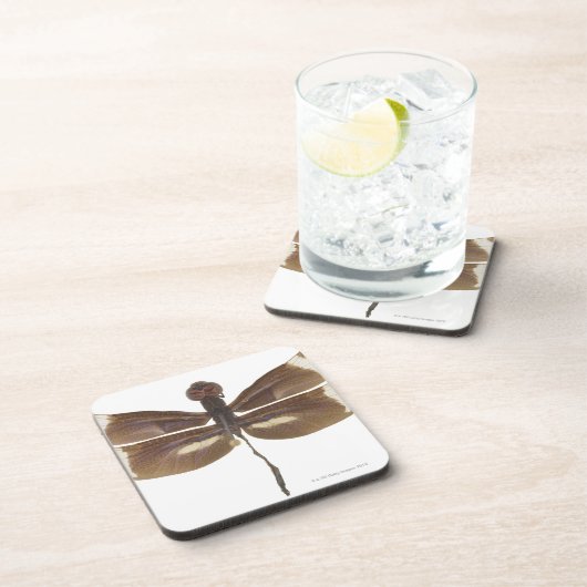 DESSOUS-DE-VERRE 23599152 (Côté Droit)