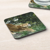 DESSOUS-DE-VERRE 24114343 (Côté gauche)