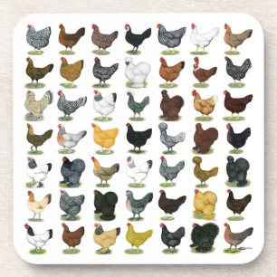Dessous-de-verre 49 poules de poulet