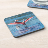 Dessous de verre à bec-de-la-tache de rose avec do (Côté gauche)