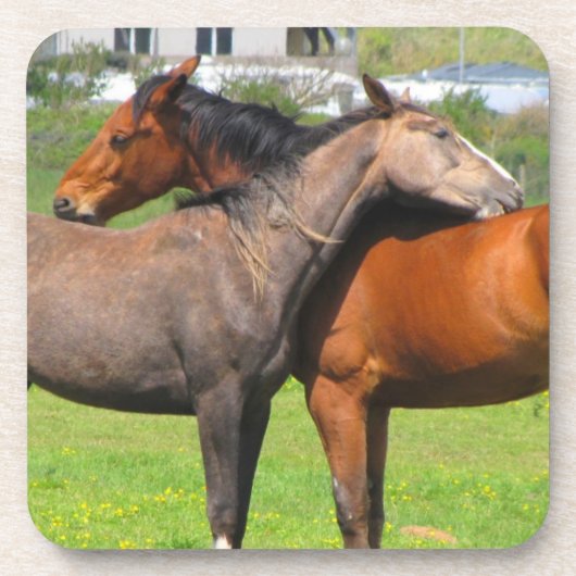 Dessous de verre à cheval (Devant)
