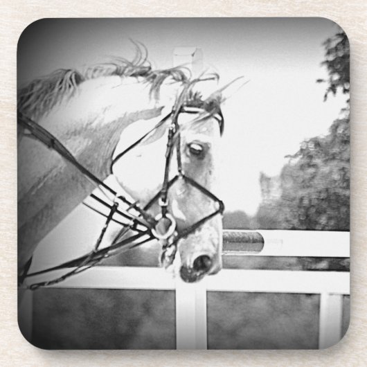 Dessous de verre à cheval gris (Devant)