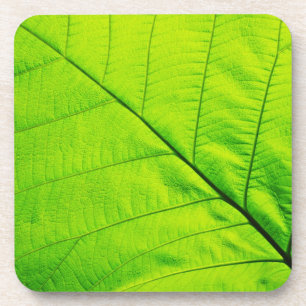Dessous de verre à feuilles vertes