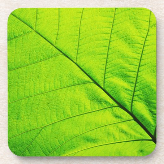 Dessous de verre à feuilles vertes (Devant)