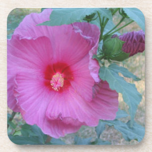 Dessous de verre à fleurs